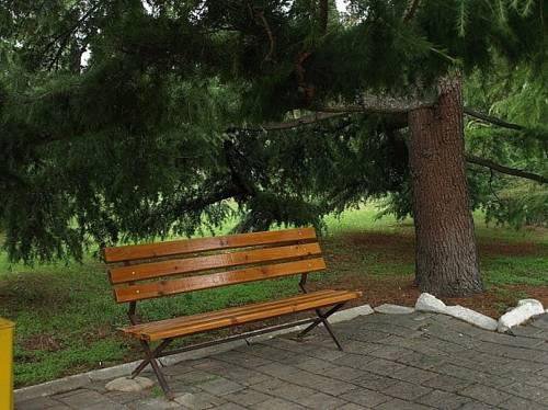 Гостиница Гостевой Дом Парус Курортное-43